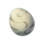 Bird Egg