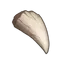 Strange Tooth