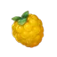 Berry