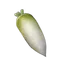 Radish