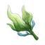 Seagrass