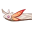 Golden Koi