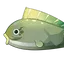 Bitter Pufferfish