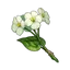 Qingxin