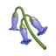 Violetgrass