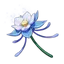 Glaze Lily