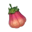 Zaytun Peach