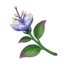 Padisarah