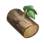 Karmaphala Wood