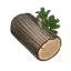 Cypress Wood