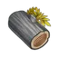 Ash Wood