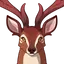 Brown Deer