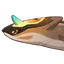 Magma Rapidfighting Fish