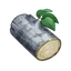 Silver Fir Wood