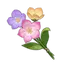 Windrest Flower