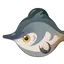 Charcoal Snowfin