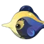 Moonlight Snowfin